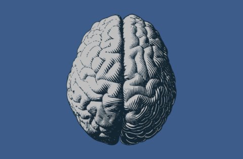 TCD scientists link nanoplastics to neurological conditions